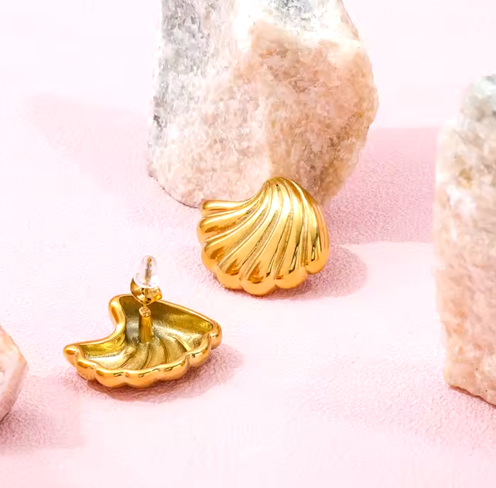 Seashell Studs