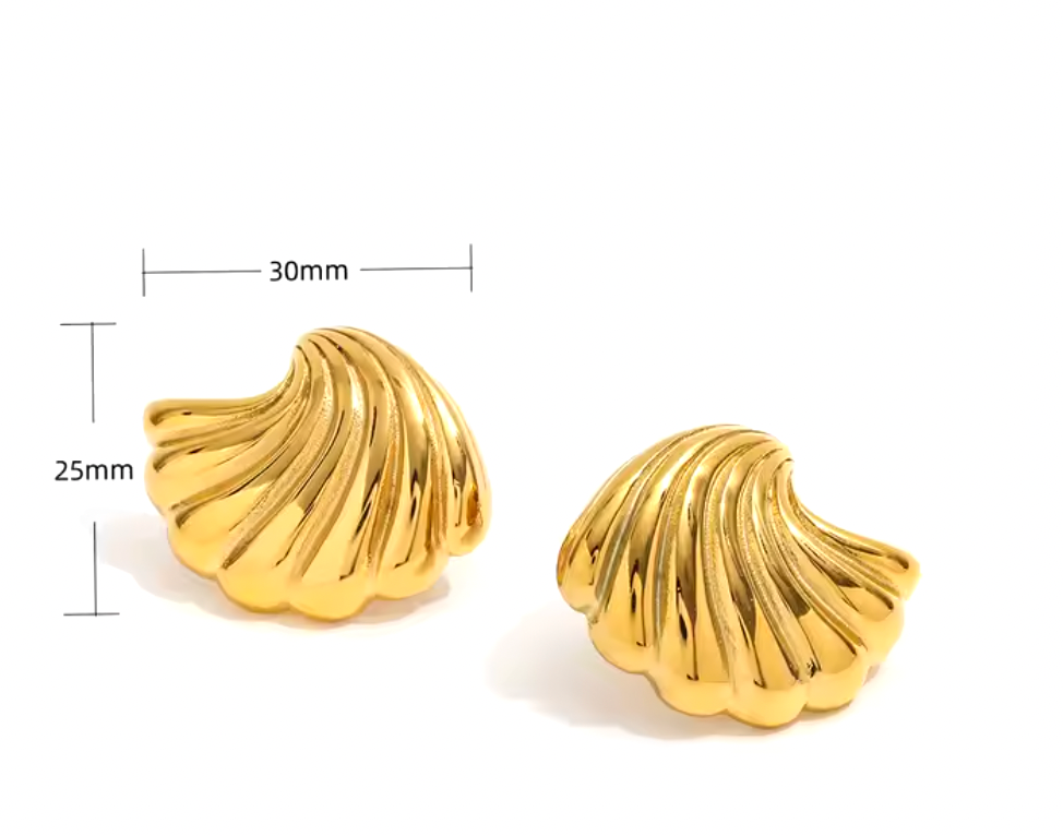 Seashell Studs